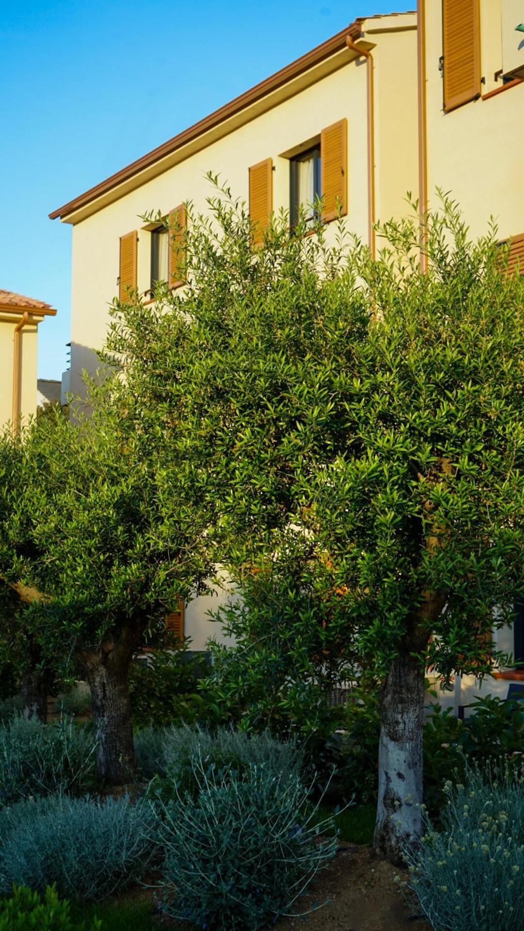 Residence Catalina Saint-Florent  Exterior photo